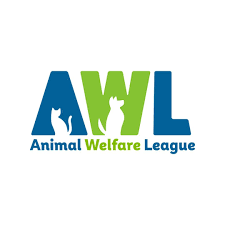 Corporate Campaigns Coordinator