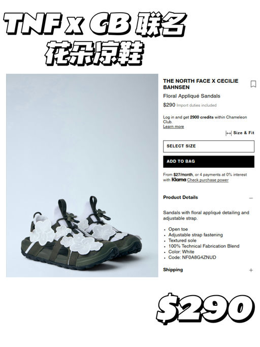 【全网断货】The North Face x Cecilie Bahnsen