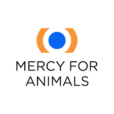 Manager, Communications and Marketing