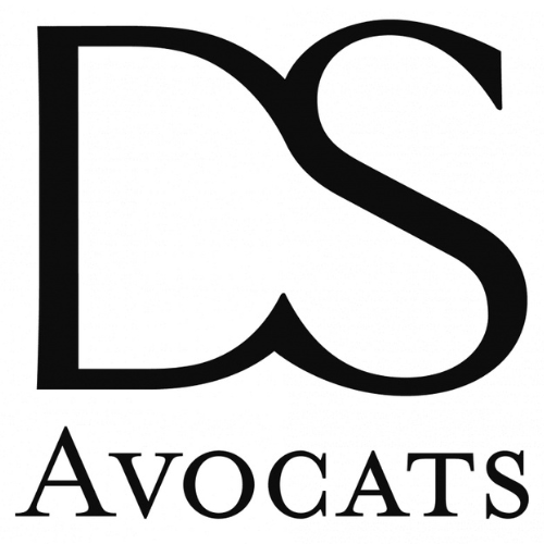 Logo DS Durabilité