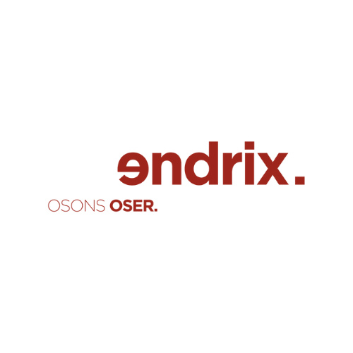 Logo ENDRIX CSR