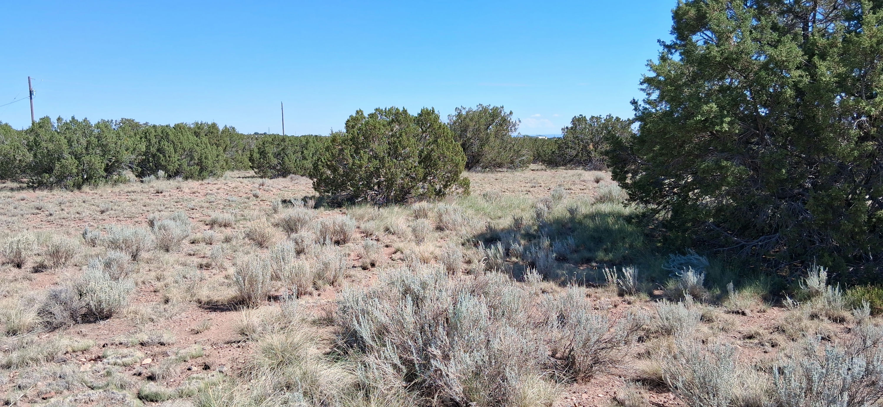 201-27-256-257 Vegetation.jpg