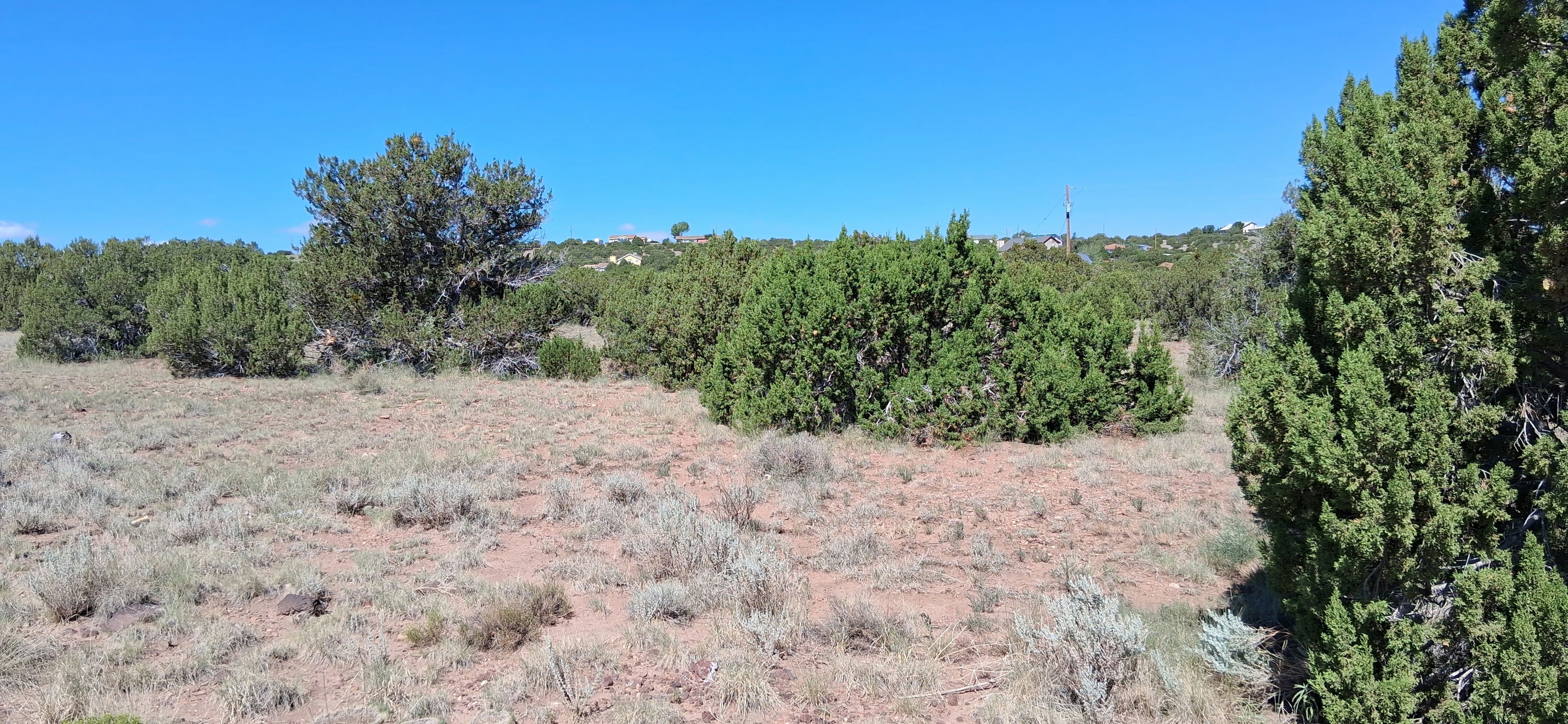 201-27-256-257 Vegetation (4).jpg