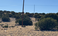 carousel-thumb-12