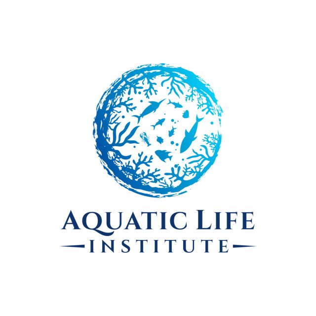 Chief Program Officer (CPO)