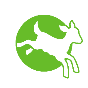Social Media Manager
