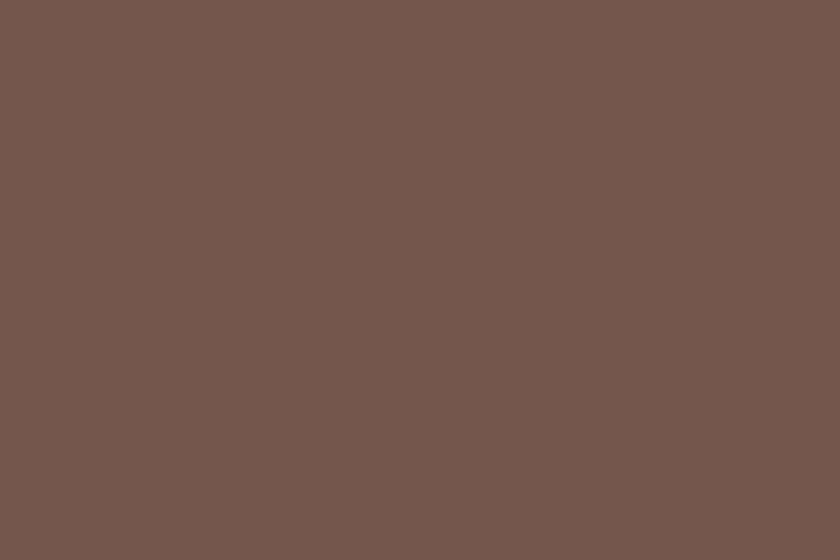 9'X36' - COCO BROWN #20