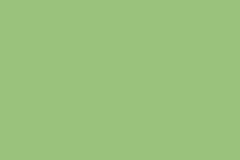 9'X36' - APPLE #63