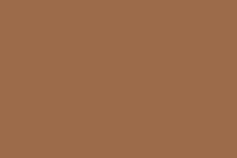 9'X36' - NUTMEG #67