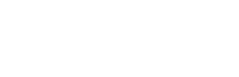 Wood-Mizer România