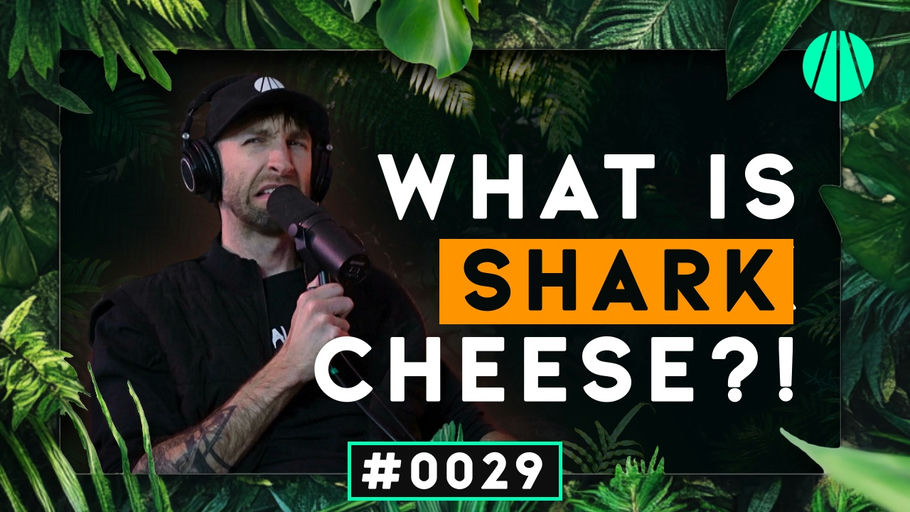 Shark Cheese, Big Dairy, & Creative Thoughts