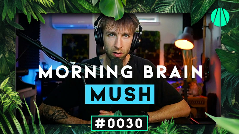 The Brain Is Weird and Mine Is Mush