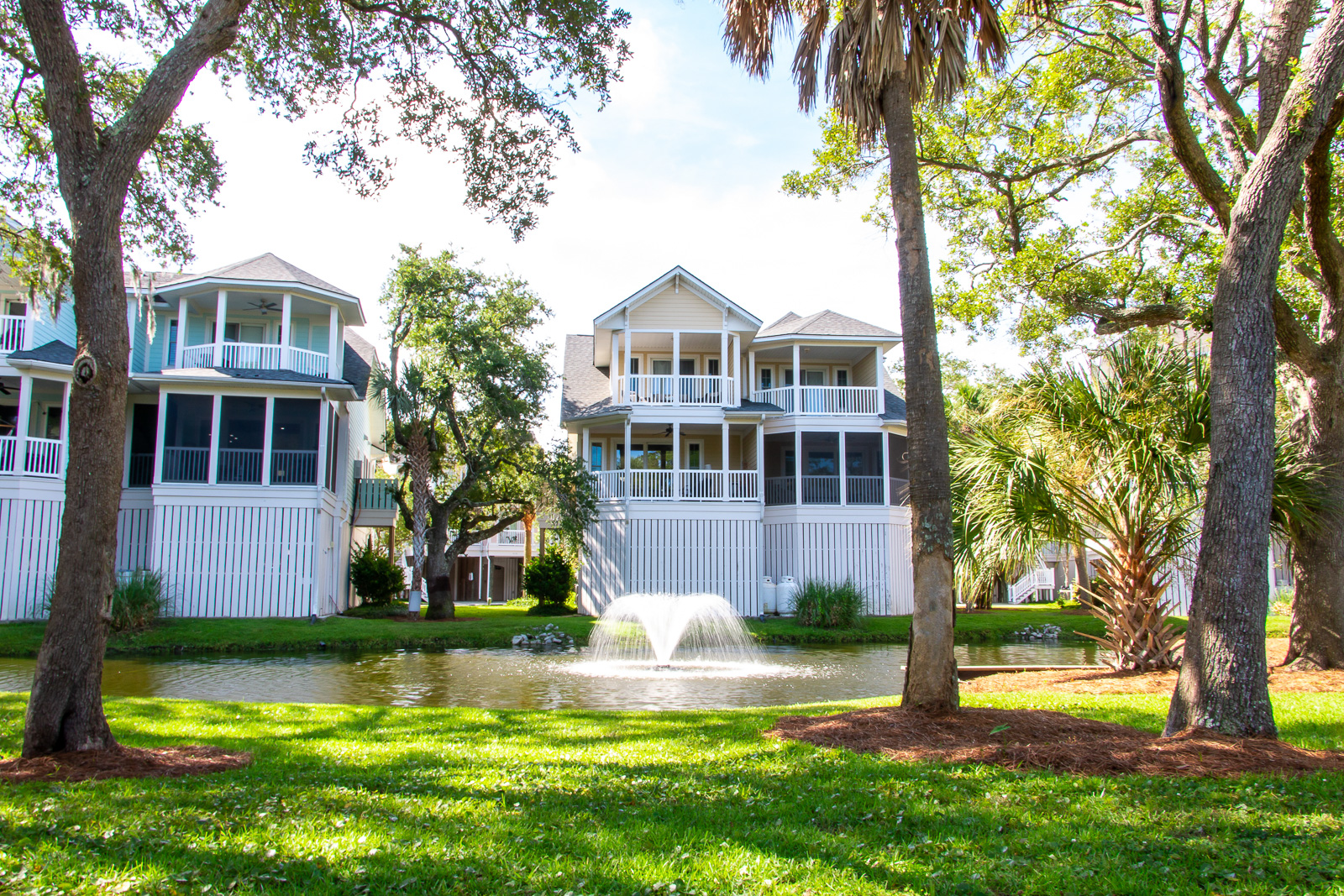 Palmetto Pointe